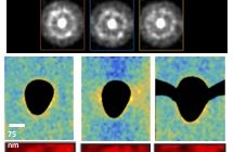 Direct measurement of nanostructural change duringin situ deformation of a bulk metallic glass