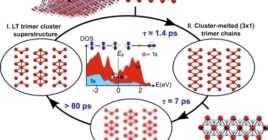 First Photo-induced Melting of Tantalum Ditelluride