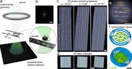 Solving complex nanostructures with ptychographic atomic electron tomography [Nature Communications]