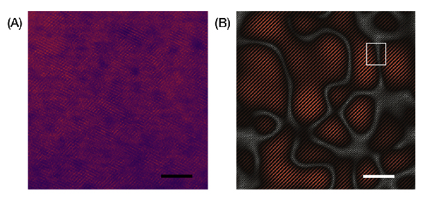 Manganese Cathodes Could Boost Lithium-ion Batteries [Nature Nanotechnology]