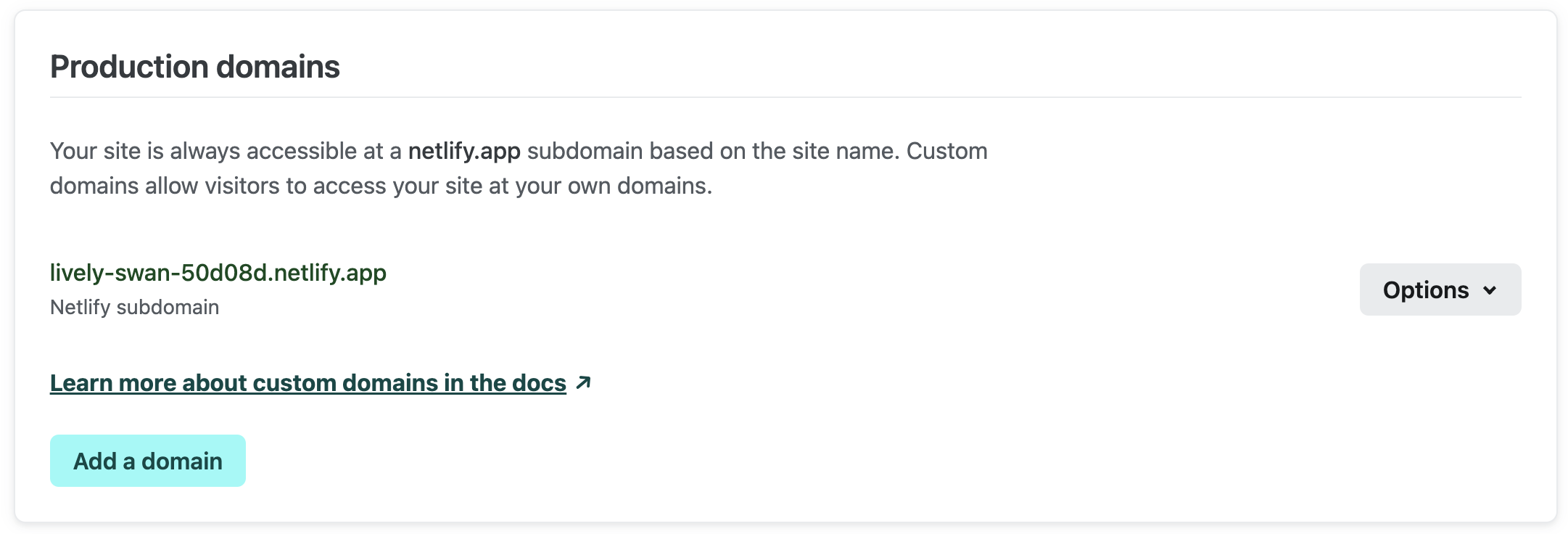 Netlify configure domain