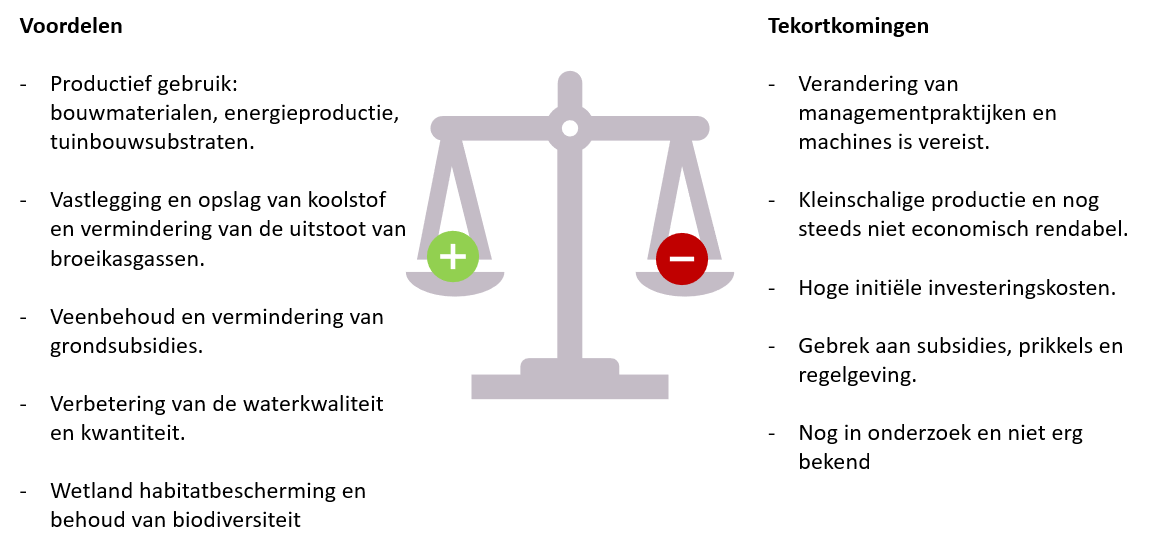 Voordelen en nadelen van paludicultuur.