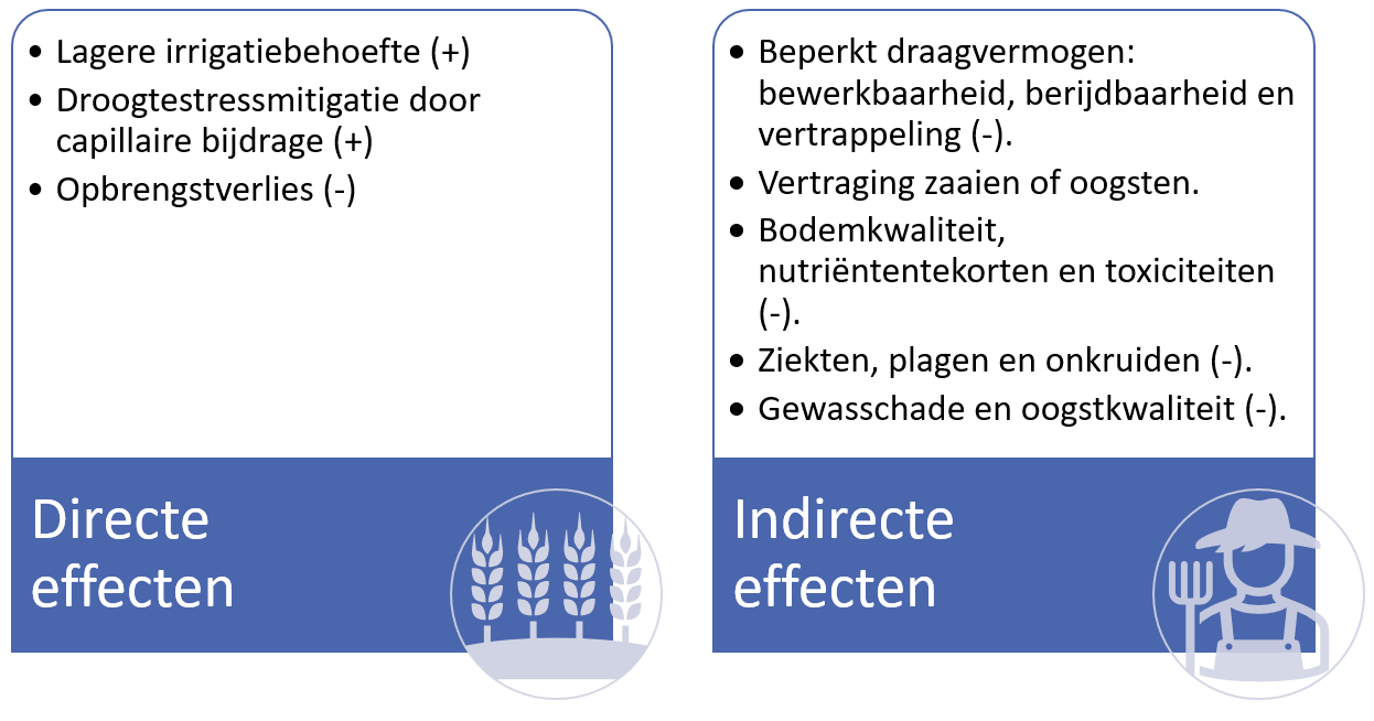 Directe en indirecte effecten van hoge grondwaterstanden op landbouwproductie en beheer (Broeke et al. , 2019; Broeke et al. , 2016).