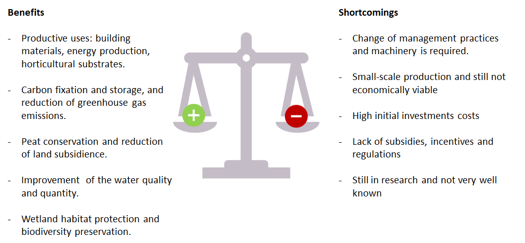 Benefits and shortcomings of Paludiculture