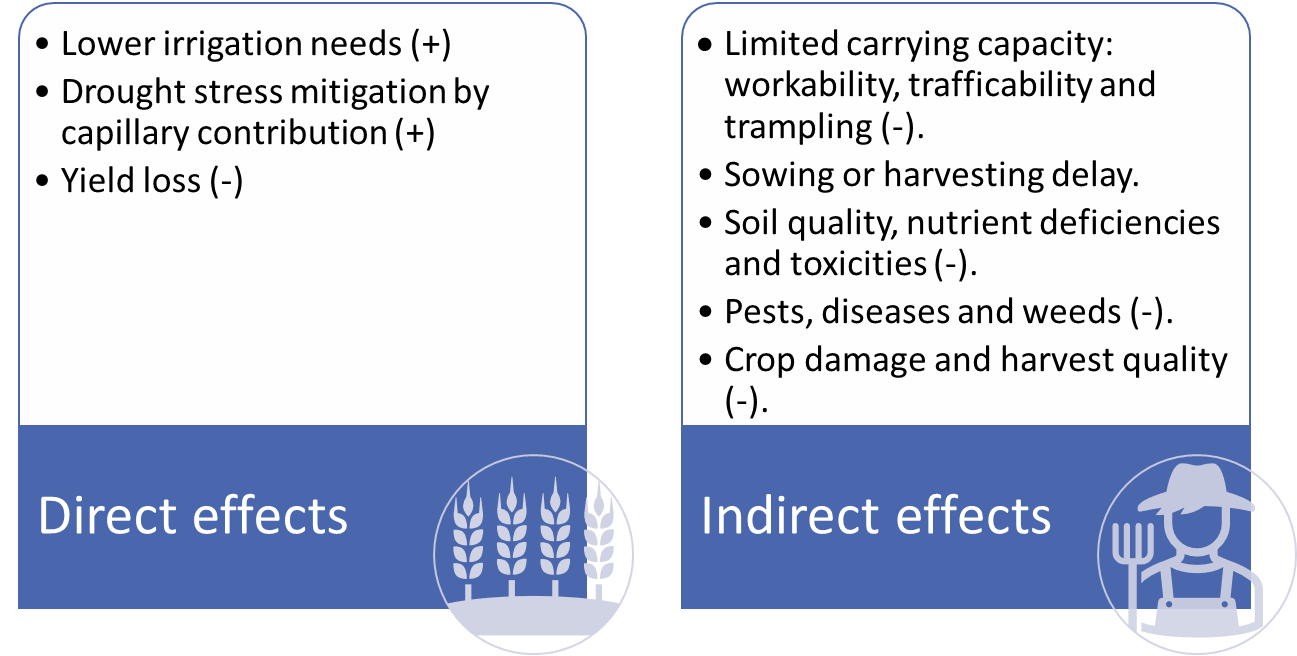 Direct and indirect effects of increasing groundwater levels on agricultural production and field management .