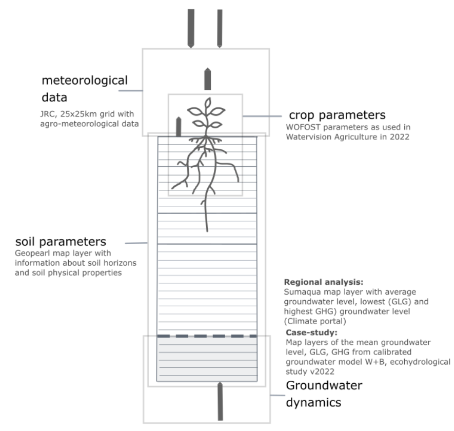 Schematic overview of the information/data used to shape the model parameters and necessary input variables in the model framework of PEILIMPACT. If a user has more accurate data for one or more of these components, they can replace the data layers applied here.