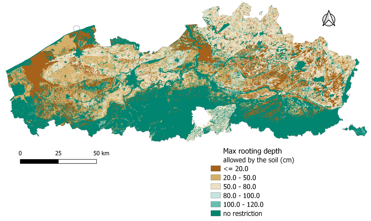 Spatial variation of the maximum rooting depth allowed by the soil as given in the model.
