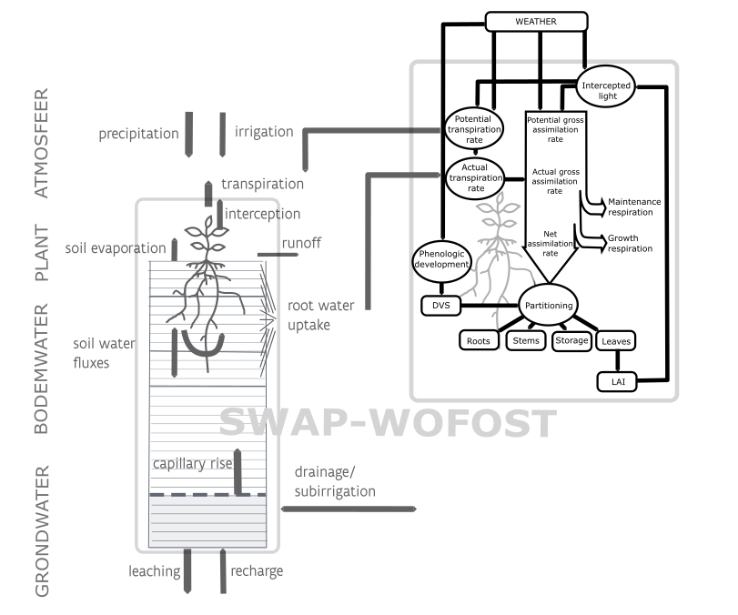 Schematic representation of the functioning of the coupled SWAP-WOFOST model (1-D) used for this study.