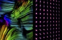 Diffraction imaging of nanocrystalline structure in organic semiconductor molecular films