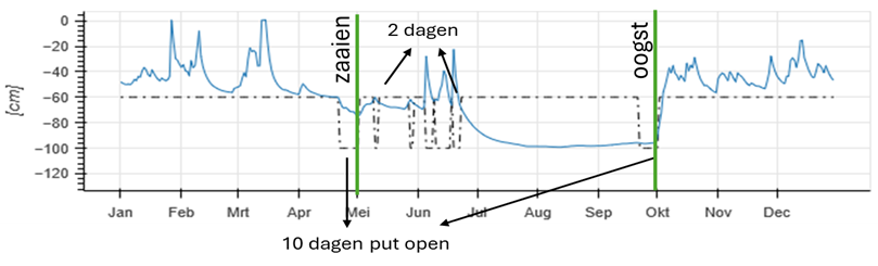 Schematische weergave van de manier waarop klimaatadaptieve drainage geïmplementeerd werd in de SWAP simulaties. De blauwe lijn geeft het grondwaterpeil in cm weer in de controleput en de zwarte stippellijn de stand van de balg in de controleput (=gewenst grondwaterpeil).