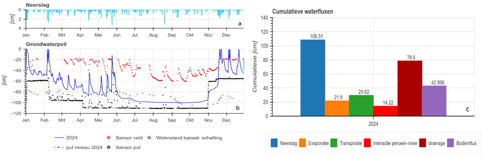 Calibration year 2024 for OOS_C plot. a) rainfall along the year, b) simulated groundwater level (blue), measurements in the controlled pit (black) and in the piezometer in the field (red). c) cumulative water fluxes