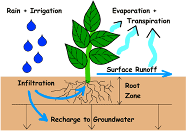 De waterbalans in de onverzadigde zone