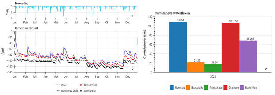 Kalibratiejaar 2024 voor STE_W-perceel. a) neerslag gedurende het jaar, b) gesimuleerd grondwaterpeil (blauw), metingen in de gecontroleerde put (zwart) en in de piëzometer in het veld (rood). c) cumulatieve waterstromen