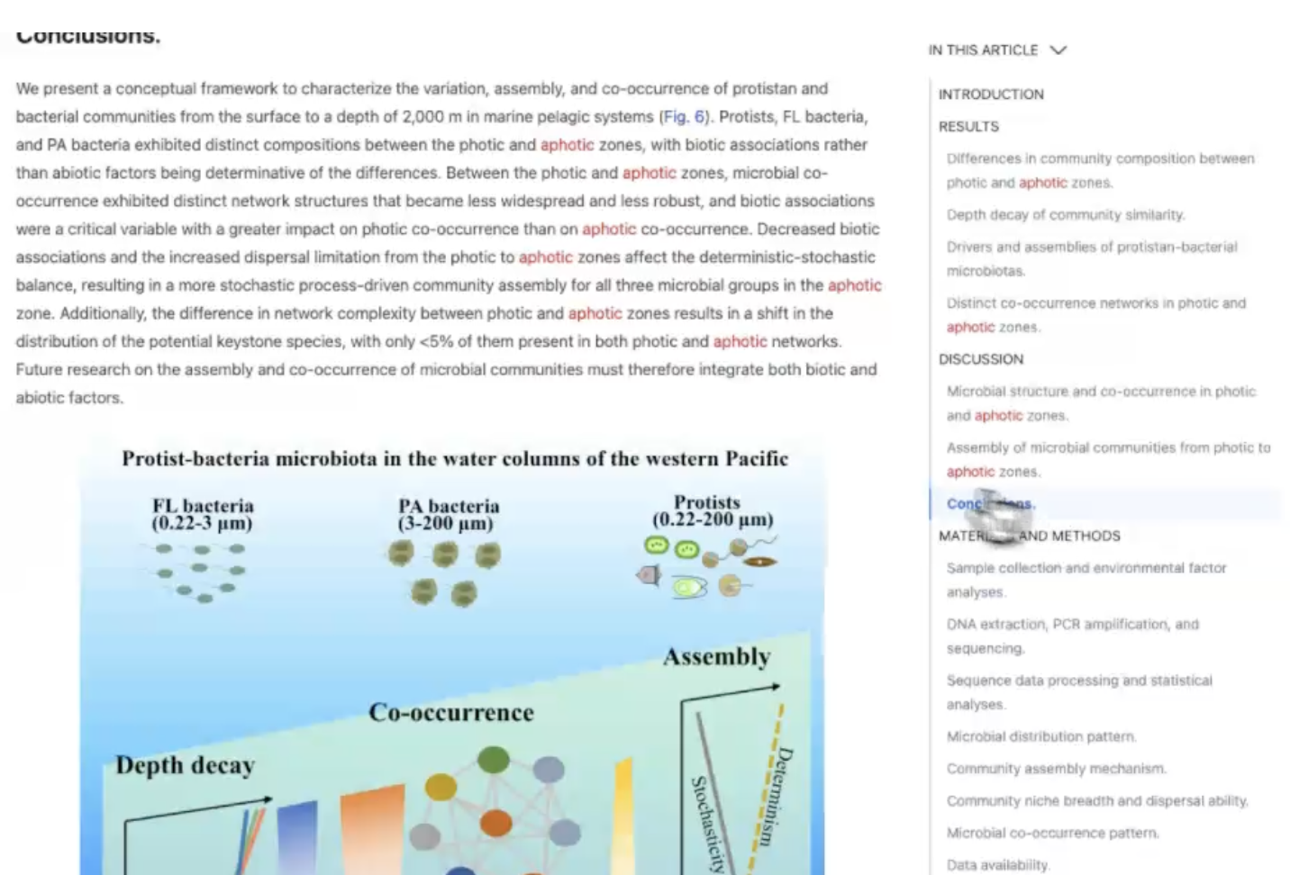 Highlighting text in a scientific article