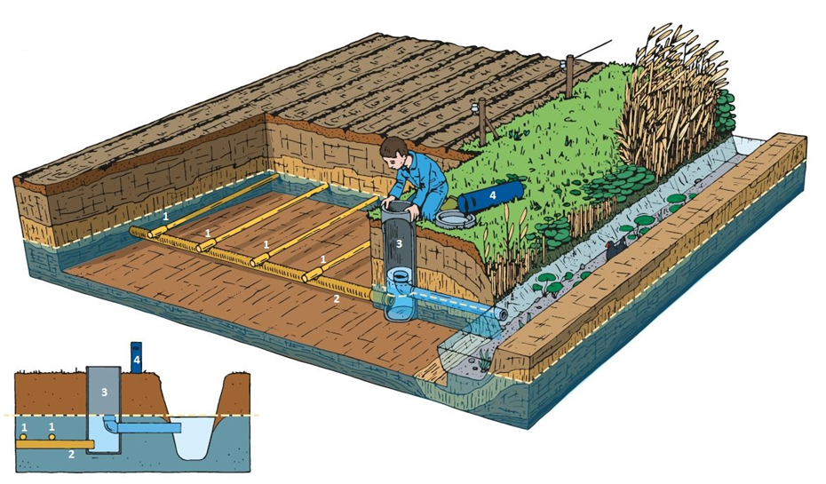 Peilgestuurde drainage vlak voor en tijdens de veldwerkzaamheden (inzaai, oogst, …). In het kader van veldwerkzaamheden staat de drainage tijdelijk open om het water af te voeren tot op het niveau van de drains (ontwateringsbasis). 1 = drain, 2 = verzamelbuis, 3 = regelput, 4 = regelbuis (buisje van Iersel)