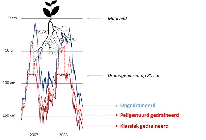 Grondwaterpeil op een proefperceel met een goed doorlatende zandgrond in noord Limburg, met drainagebuizen op 80 cm diepte, voor de ongedraineerde, klassiek gedraineerde, en peilgestuurd gedraineerde situatie (resultaten getoond voor 2007 en 2008)
