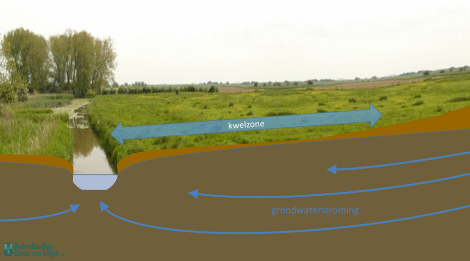 Zone waarin kwel optreedt door grondwaterstroming uit een hoger gelegen gebied.
