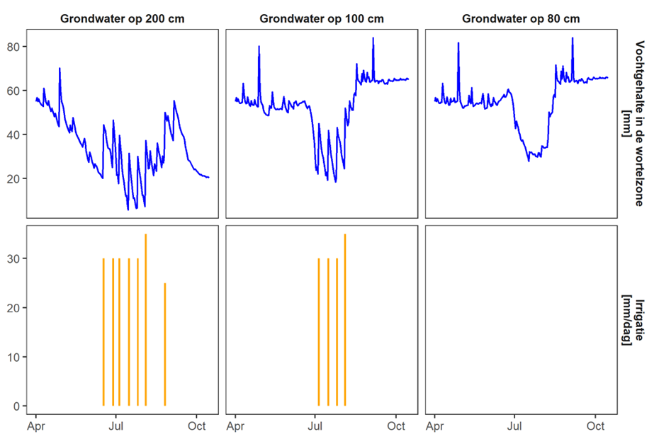 Gevolgen van de diepte van de grondwatertafel op het vochtgehalte in de wortelzone en de irrigatiebehoefte van een perceel aardappelen in de zomer van 2018